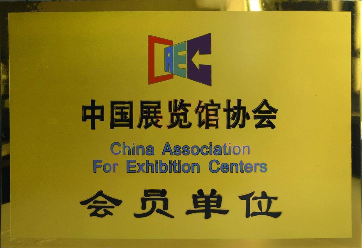 展览网站设计 展览网站设计